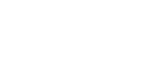 Steam